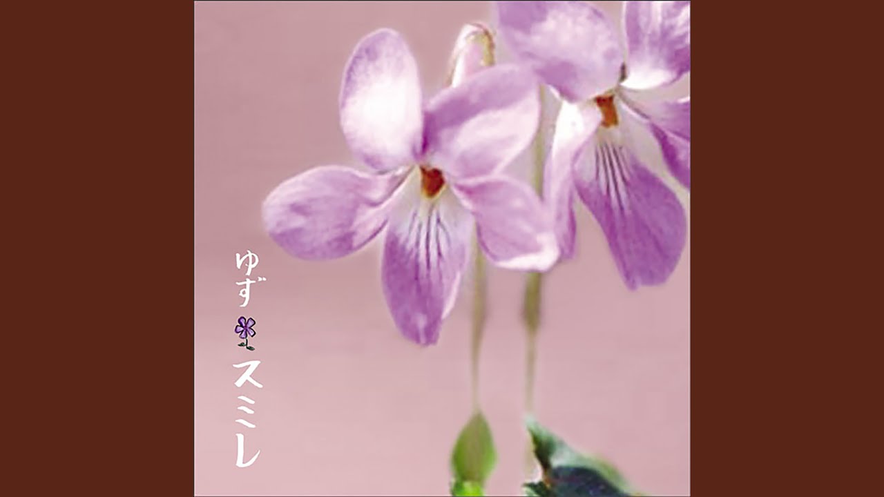 Watch Sumire on YouTube Watch Sumire on YouTube