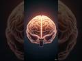 Your Brain Never Sleeps 😳#facts#mindblowing#shorts#ytshorts#viralshorts
