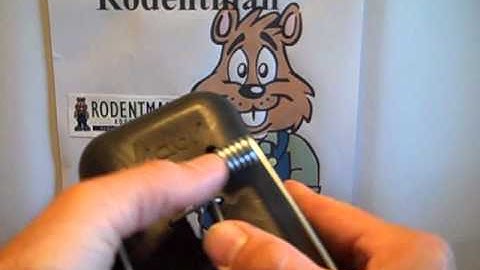 Setting the Blackbox goppher trap 001