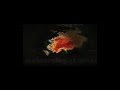 el Reno tornado 2013 edit #tornado #elreno #edit #fyp