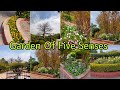 The garden of five sense delhi romance | garden of five senses couple best place