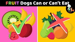 Fruit Dogs CAN or CAN'T EAT?🤔