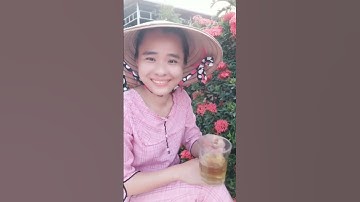 cây cỏ ngọt hổ trợ cho người bị tiểu đường và muốn giảm cân