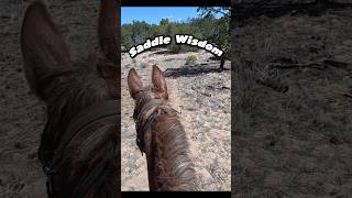 Saddle Wisdom #ranchlife