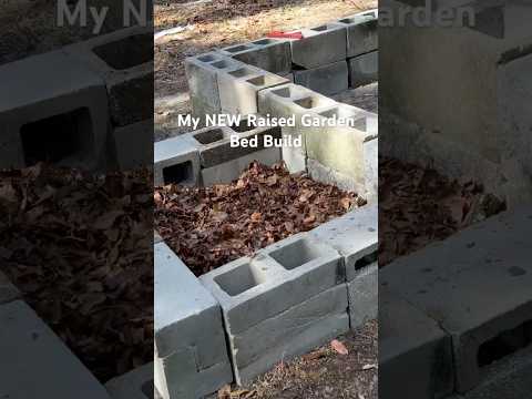 Why I Water