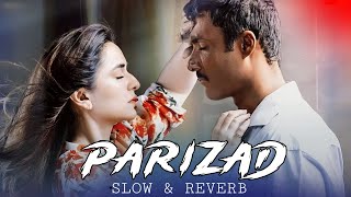 PARIZAD OST SLOWED & REVERB 💫🤍 | LOFI MUSIC 2025