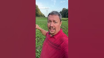 Using Plotsaver on our Foodplot #deer #whitetailhunting #hunting #deerhunting