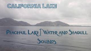[ASMR] 🌊 Peaceful Lake Sounds | Seagulls & Water Sounds