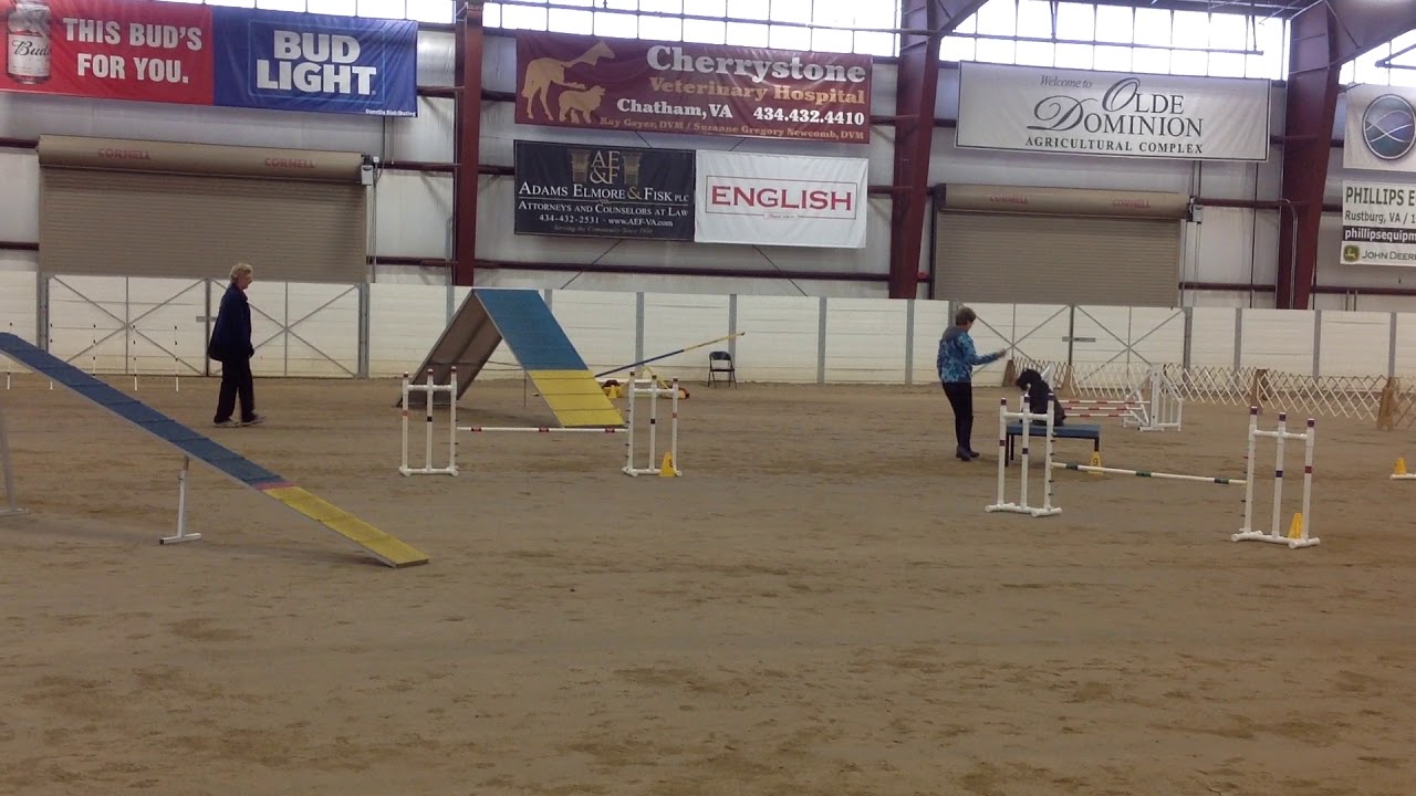 Topper 3 17 17 Danvlle KC Preferred first time