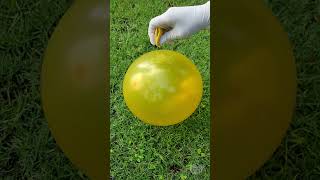 The Explanation Of Lemon And Popping Balloon Experiment.