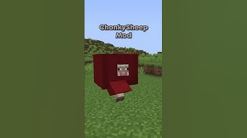 Minecraft But Sheep Are Chonky... (Cursed Mods Pt. 3)