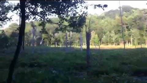 TrekEast Home Video: Calvert Cliffs