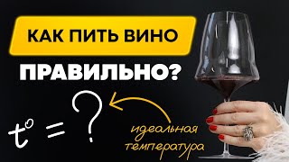 Как пить и наслаждаться вином правильно? [ ВИННЫЙ ГИД ]