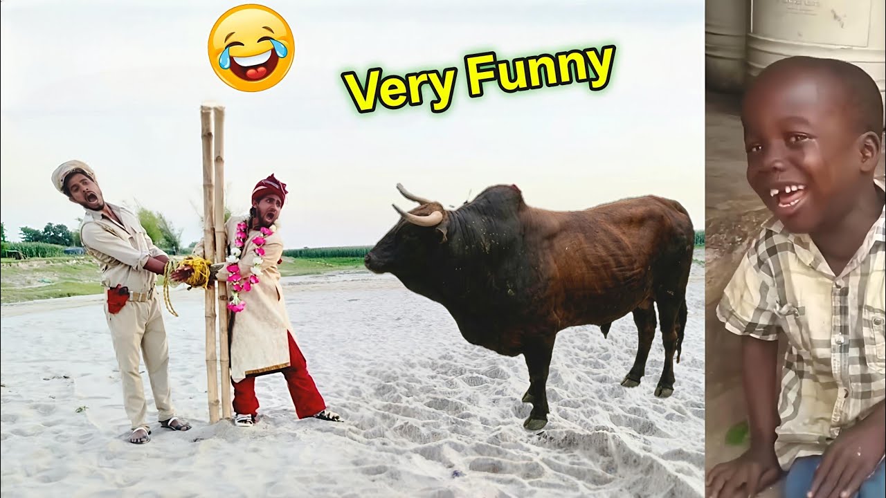 Very Very Funny Videos 2026😂 Try Not To Laugh Challenge😂 Top 100 Funniest Video 🤣 part 25