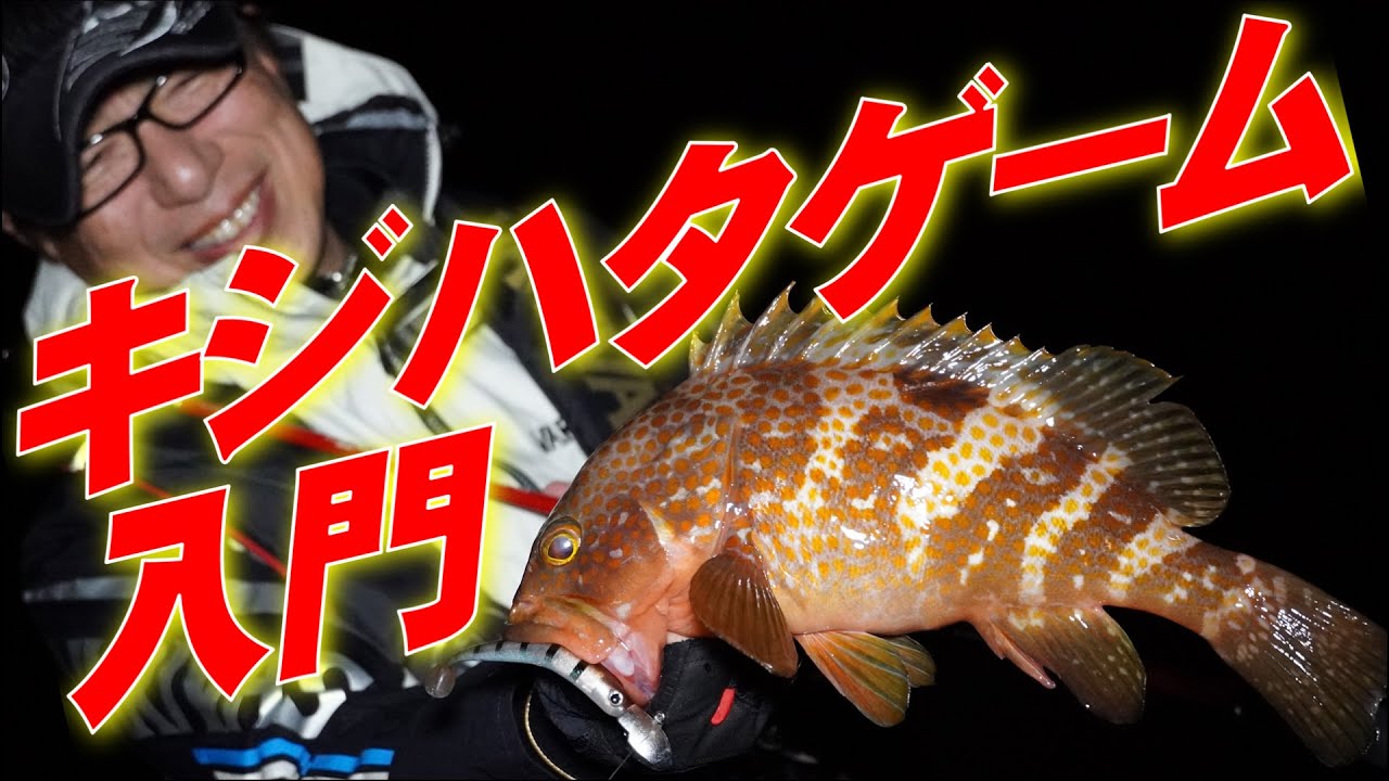 入門キジハタゲーム ジグヘッドリグで狙うキジハタゲームの基本 Youtube