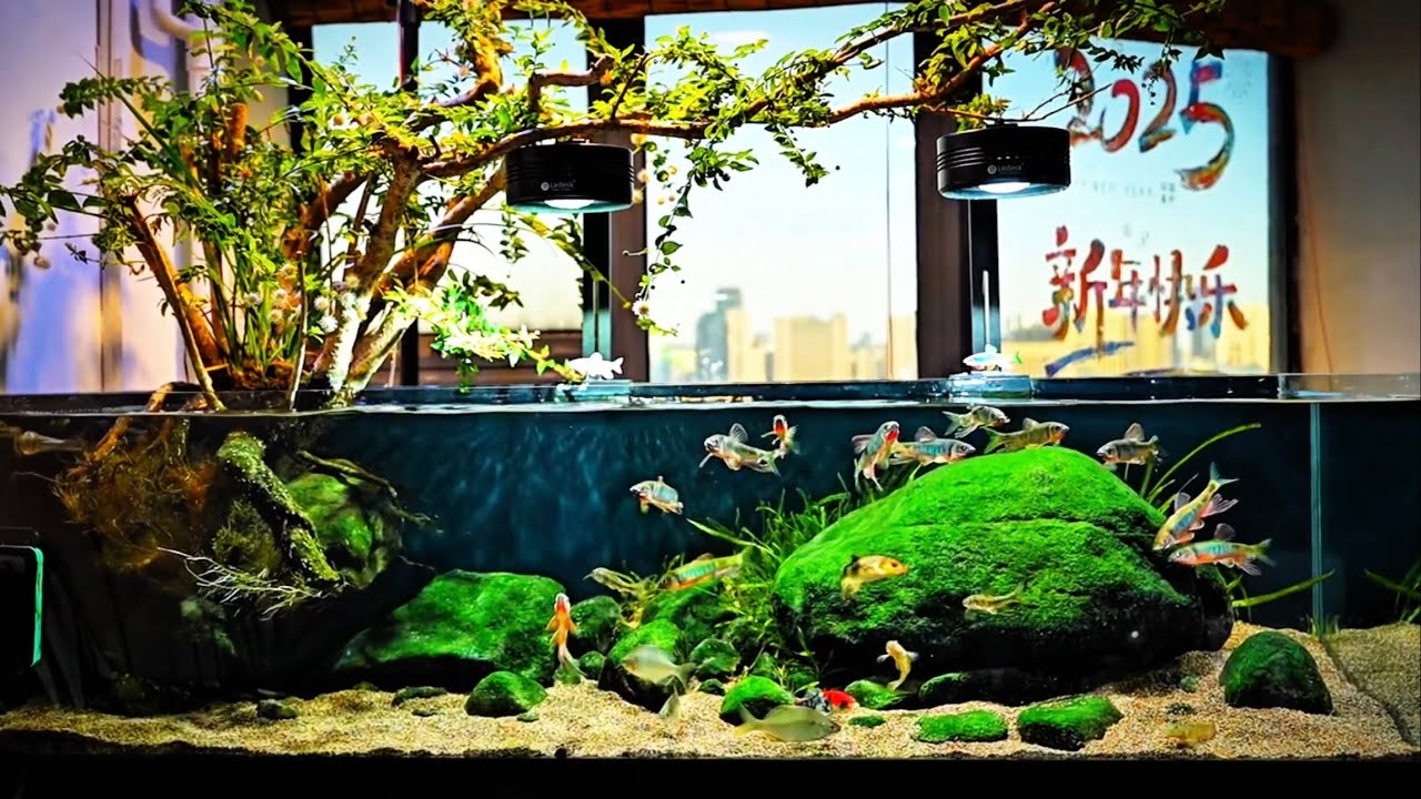 Stream Tank Diy DIY Natural Stream Biome Step-by-Step, Stream Biotope Masterclass: From ...