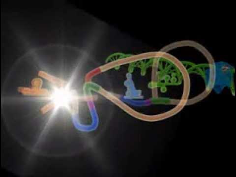 eukaryotic mRNA Transcription animation - YouTube