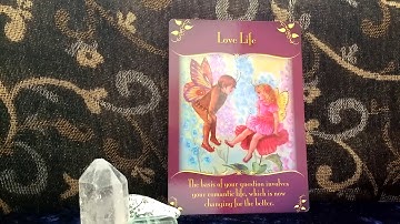 Daily Oracle Card Reading 18th February 2018  Magical messsages from the fairies tarot