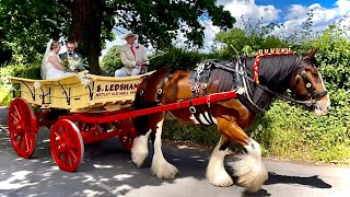 A RURAL WEDDING WITH SHIRE CASEY