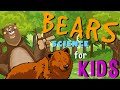 Amazing Facts About Bears Quiz