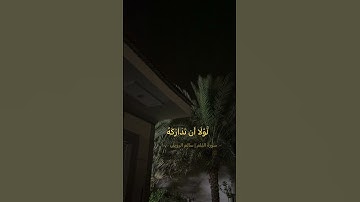 سورة القلم | سالم الرويلي
