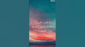 تلاوة هادئة | المنشاوي