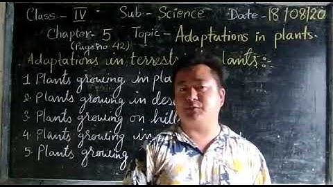 Class 4 Science Adaptation in Plants Part2