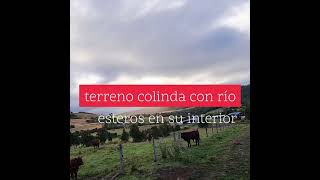 Campo en la comuna de Los Muermos, Región de los Lagos. Chile