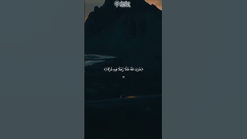 سورة الزمر بصوت الشيخ ياسر الدوسري