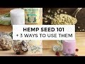 Hemp Seed 101 | Everything You Need To Know