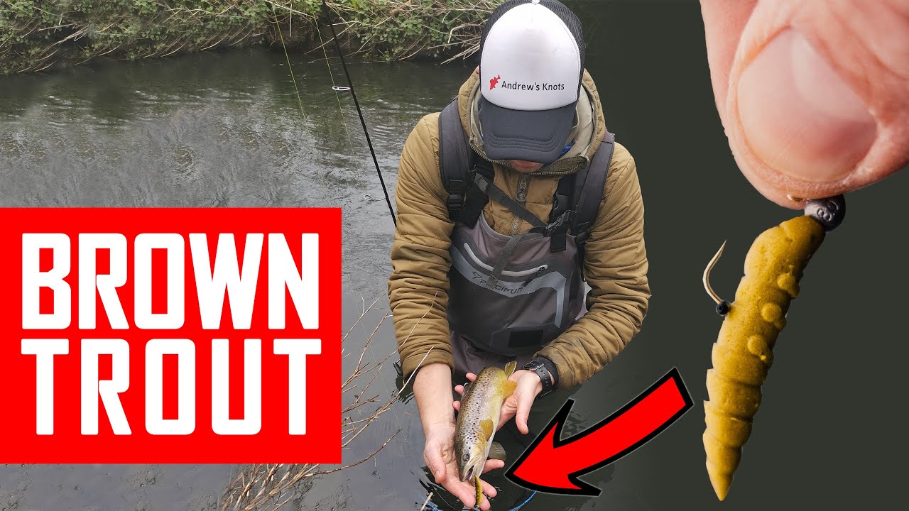 Trout fishing season opened. Lure fishing in a tiny river using BFS