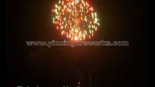 5inch color peony with red green.flv