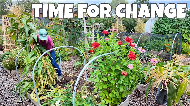 The Autumn Vegetable Garden Reset Has Begun | Gardening Vlog thumbnail