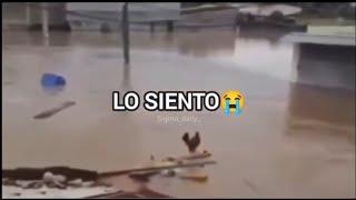 Wilson lo siento 