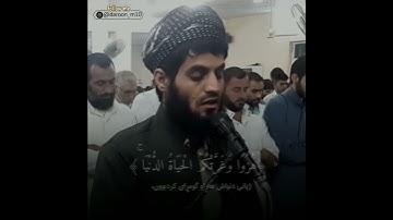 ما تيسر من سورة الجاثية، تلاوة خاشعة للقارئ رعد محمد الكردي.