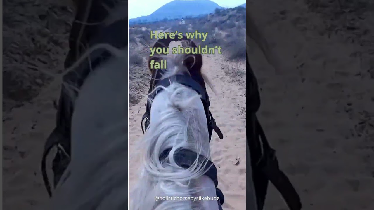 Horses - is holistic just woo-woo?  