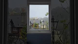 The hurricane brings the warm current. The same winter, but different feelings.