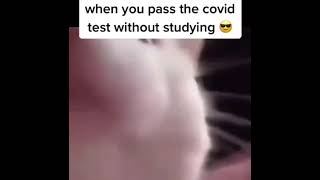 When you pass the Covid test without Studying