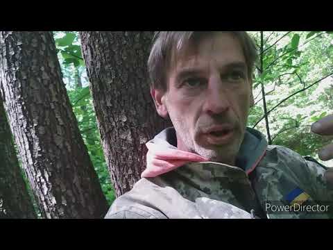 Талер 1632 р. Патагон.