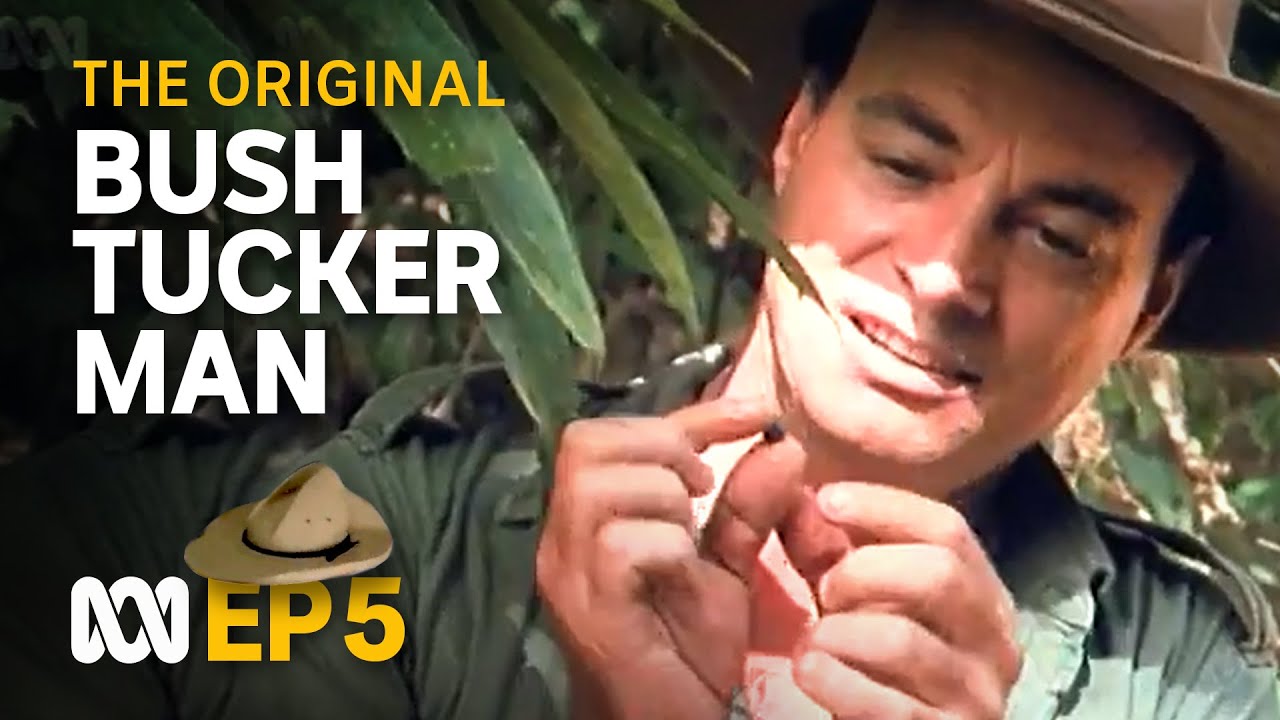At home in the rainforest 🤠🗺️ Bush Tucker Man S1 EP5 ABC