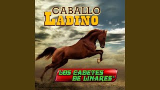 Versión 3 del video
