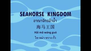 อาณาจักรม้าน้ำ(Seahorse Kingdom) 海马王国