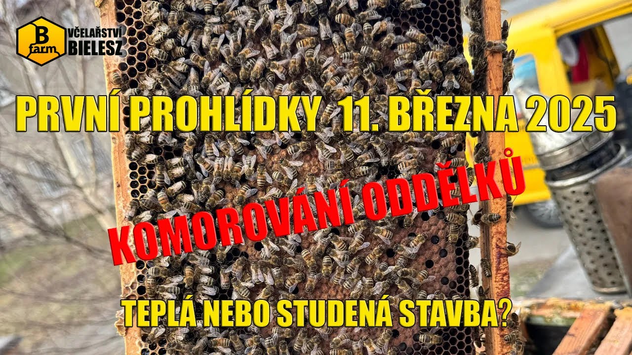 První prohlídky včel – 11. 3. 2025 |   Komorování oddělků, teplá nebo studená stavba?