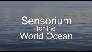 Sensorium for the World Ocean Details