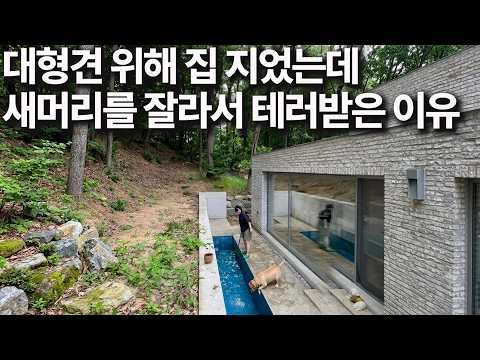 염산테러 받은 보호자의 심경을 눈치채고 우울증에 걸린 <strong>대형견</strong>