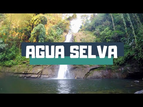 Tour Agua Selva, Tabasco | Rapel y aventura en Malpasito Huimanguillo