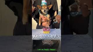 Happy Birthday, Haru! - \