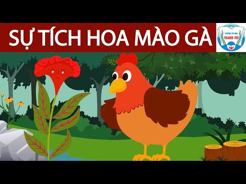 Video Sự tích hoa mào gà - youtube