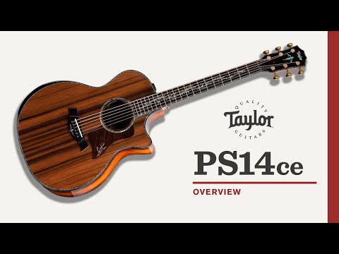 Taylor Presentation Series PS14ce Grand Auditorium