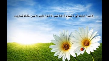 ماتيسر من سورة الحجر بصوت عبدالله عبدالهادي بدون مؤثرات صوتية دعمكم بقا. ❤️